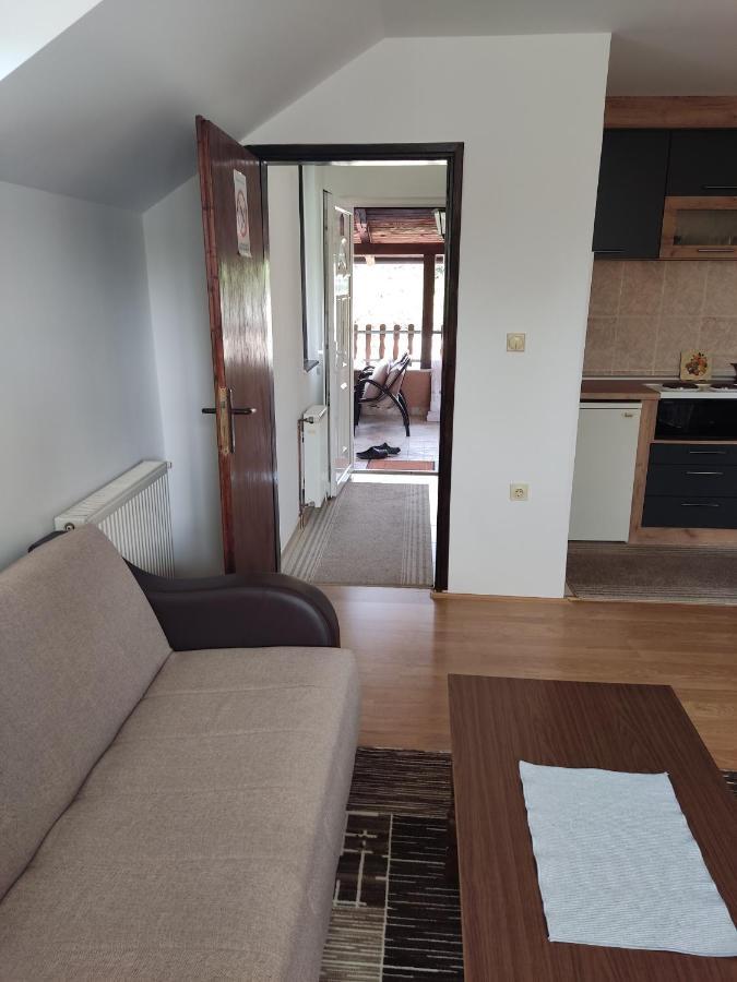 Apartmani Aleksijevic Zlatibor Eksteriør bilde