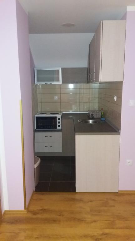 Apartmani Aleksijevic Zlatibor Eksteriør bilde