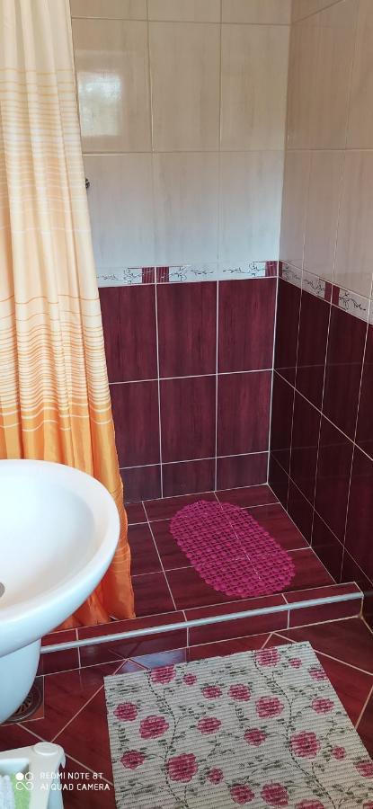 Apartmani Aleksijevic Zlatibor Eksteriør bilde