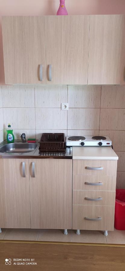 Apartmani Aleksijevic Zlatibor Eksteriør bilde