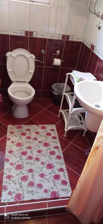 Apartmani Aleksijevic Zlatibor Eksteriør bilde