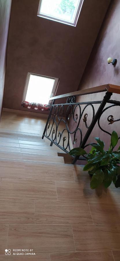 Apartmani Aleksijevic Zlatibor Eksteriør bilde